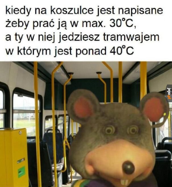 cffd4755-5c8d-4f35-8d8d-9f0f5c310b0d