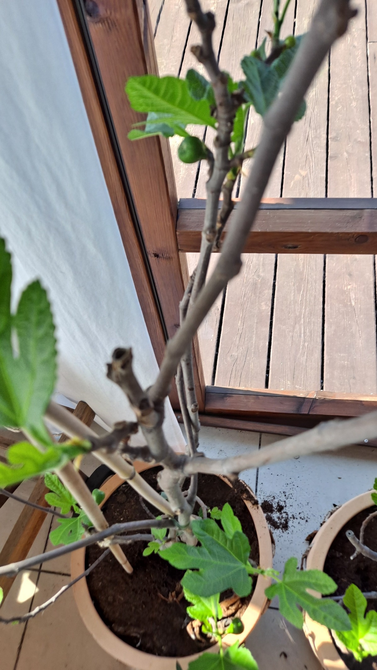 d4d1aaf9-7f52-4ec6-855f-74af243afaa7