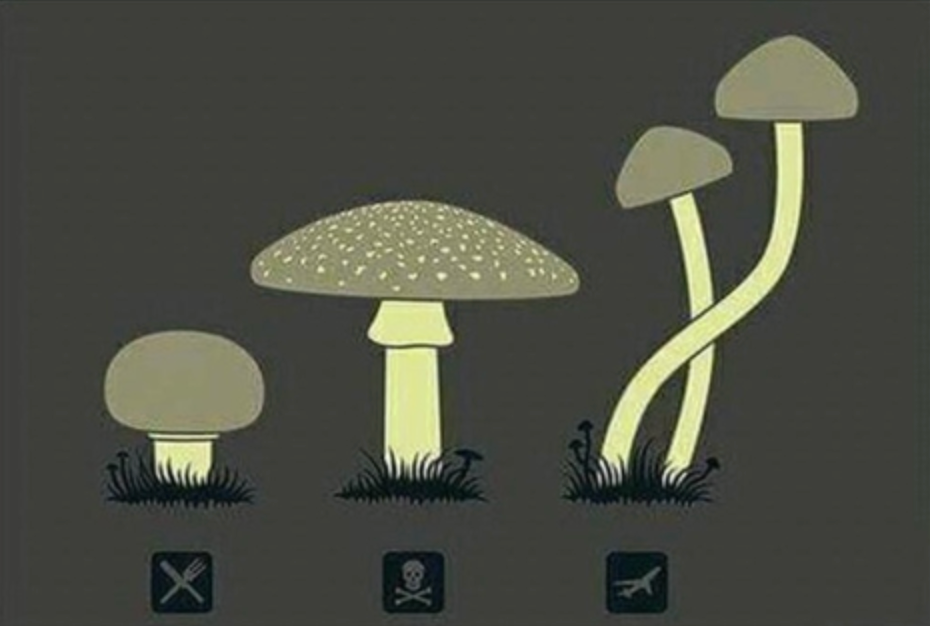 e0bc41ee-e420-459e-b14d-9f3c4eaa32c2