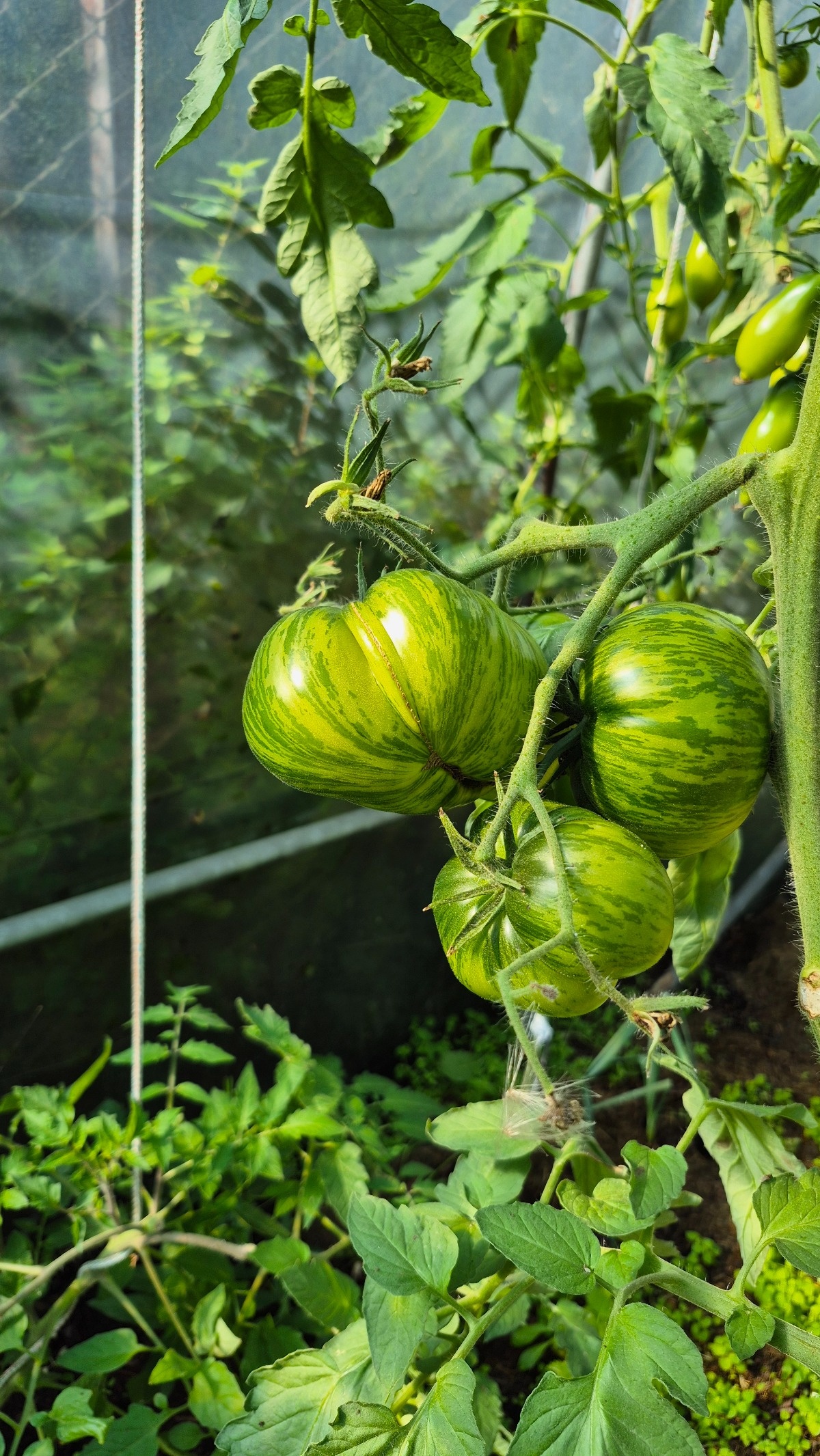 e7f8504d-2fef-4059-9afc-a18a316de7d7