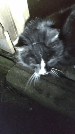 abc776bc-4535-42ef-ab0f-6e7606e068df