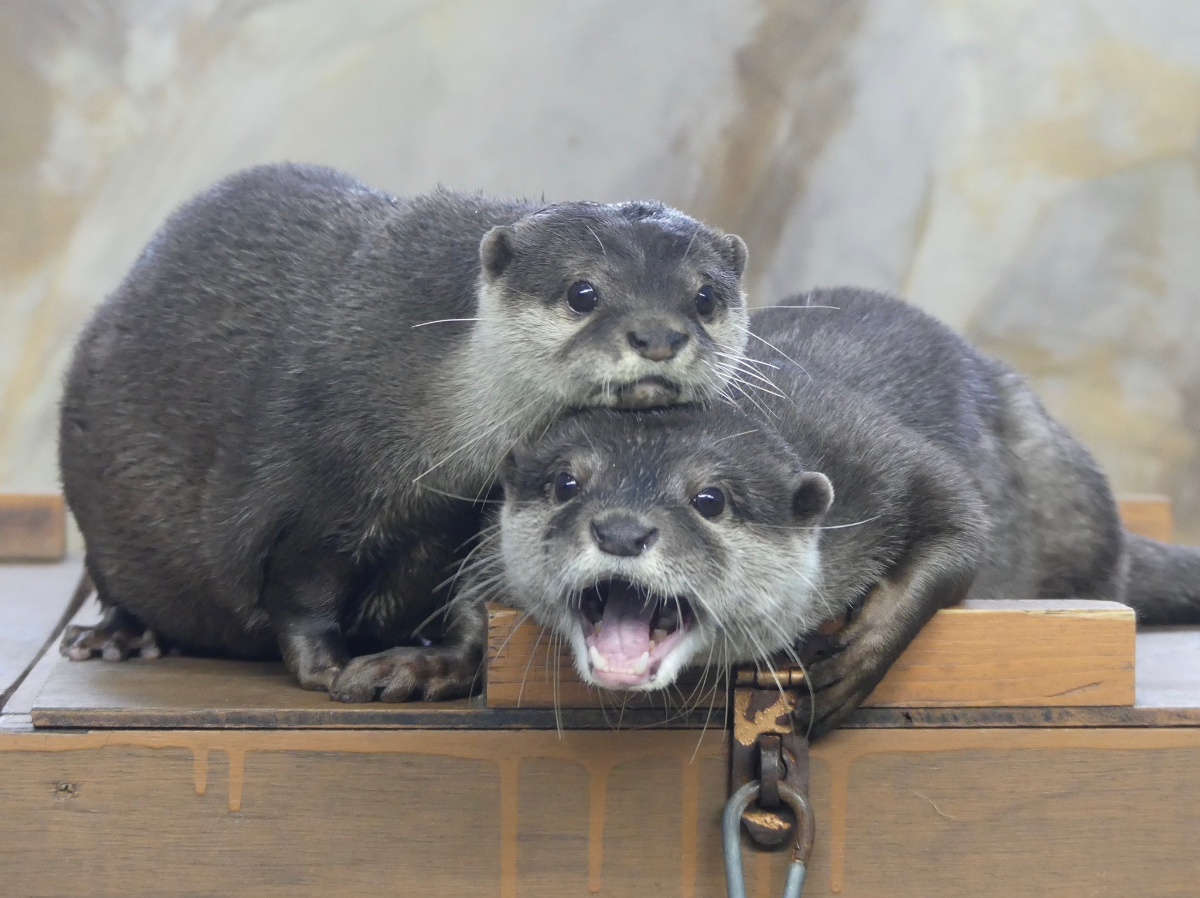 b6241960-4537-4d06-82cc-5b84de0f6746