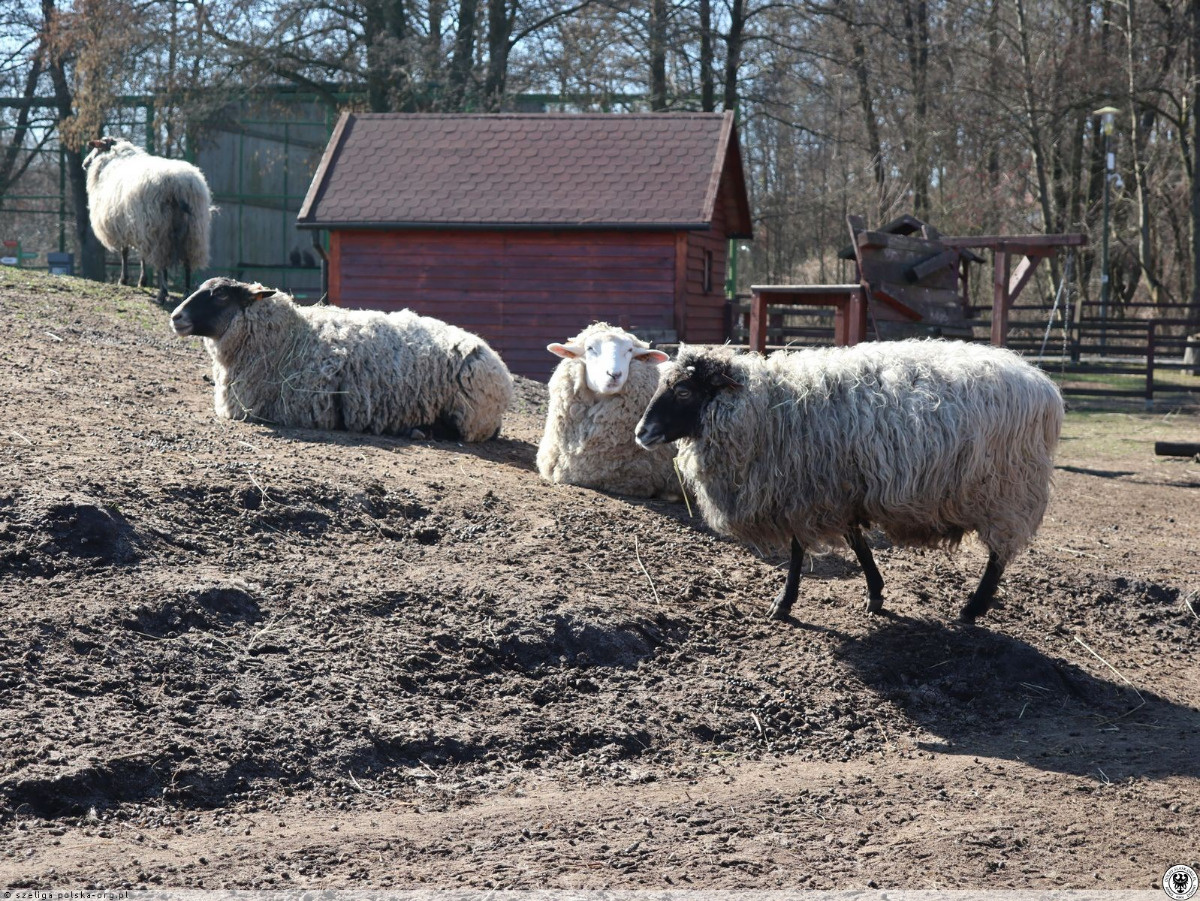 7288c1d5-e7a4-4fc7-bd4c-f317bd2c7198