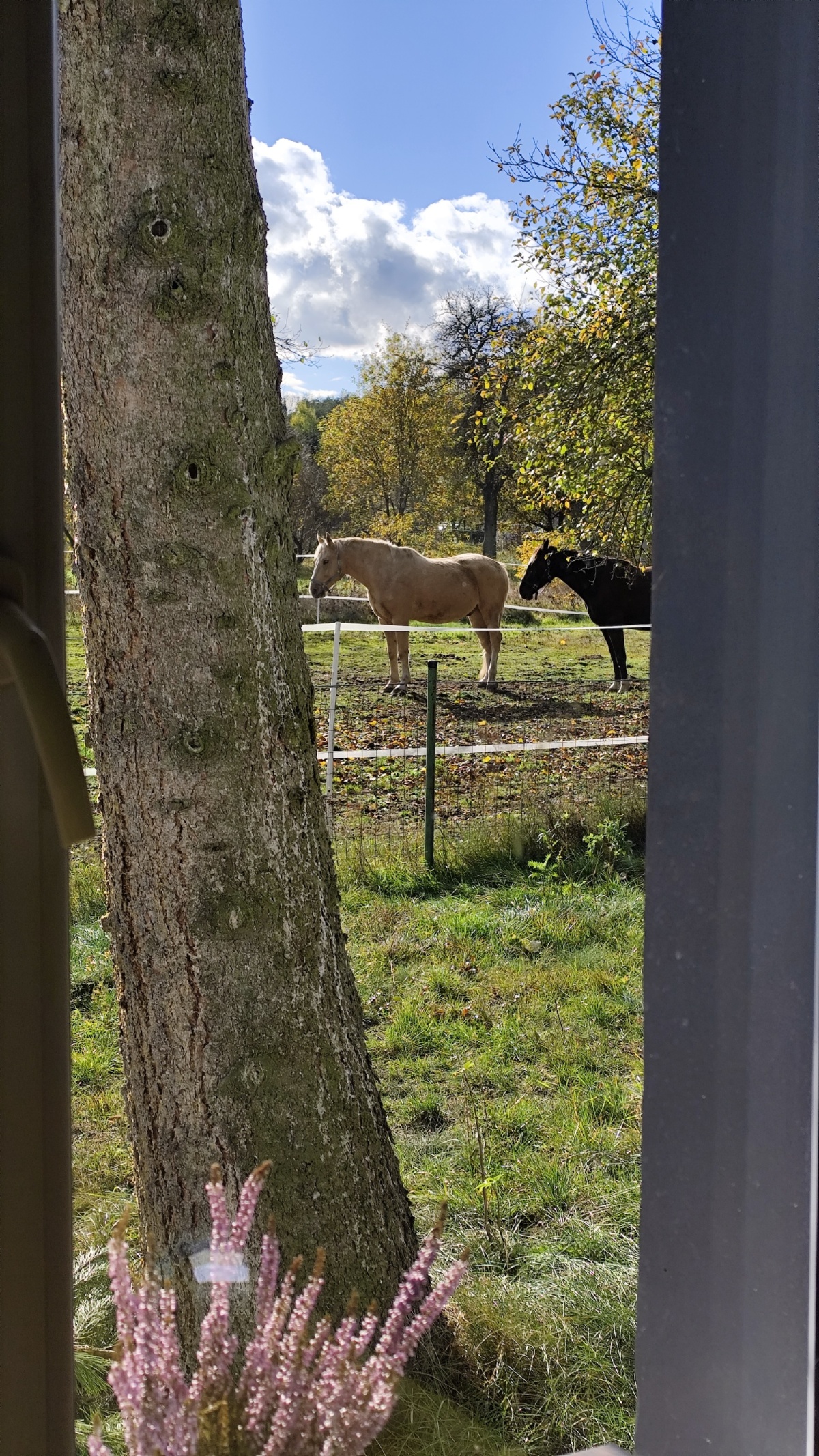 b031518e-48bc-461a-813c-9e4df75a3d30