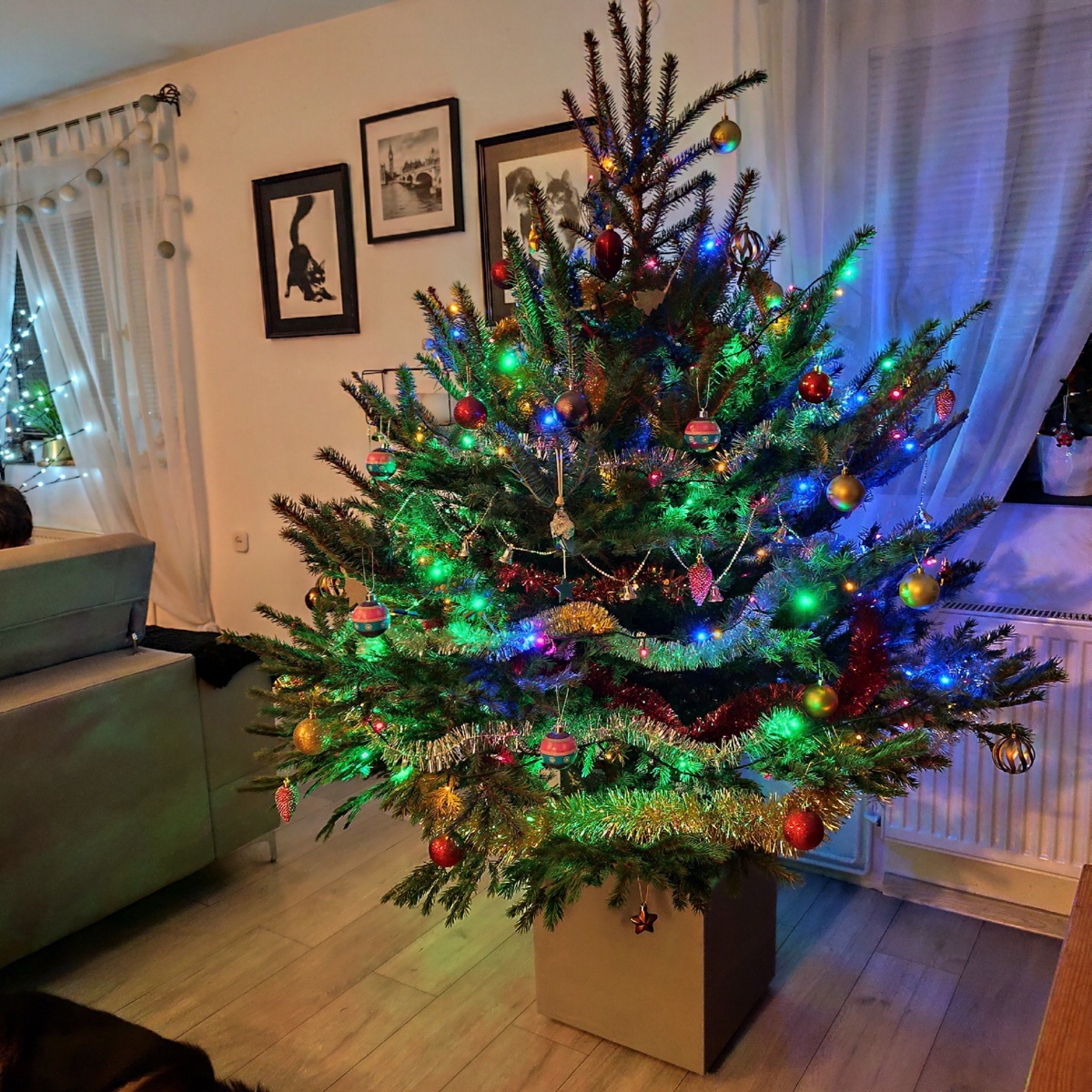 3ed37d6d-8c2a-42cb-abd7-9b698c636511