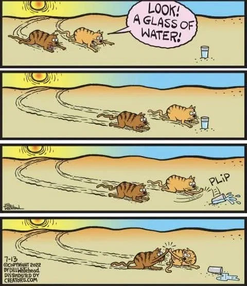 53418168-926c-4bf5-a693-6d76c88e45ca