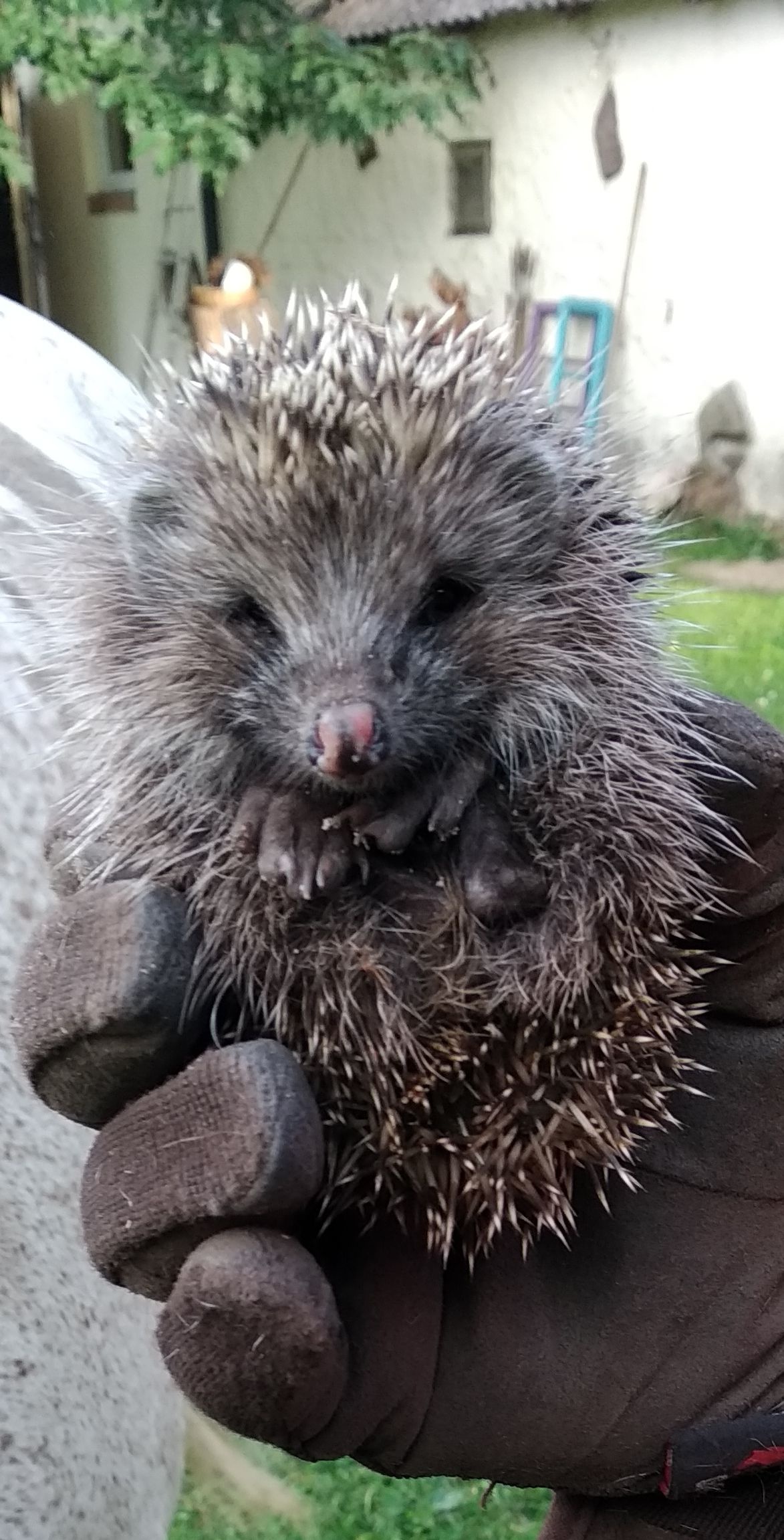 9551a534-c36d-47d3-a1e4-61dc155c57cc