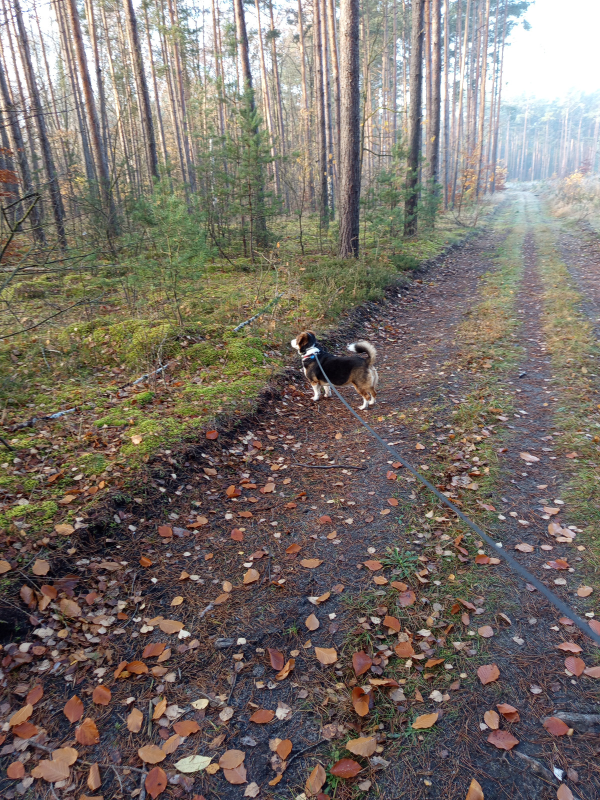 d38778f5-1ea6-4aa2-a539-3d7589c583fa