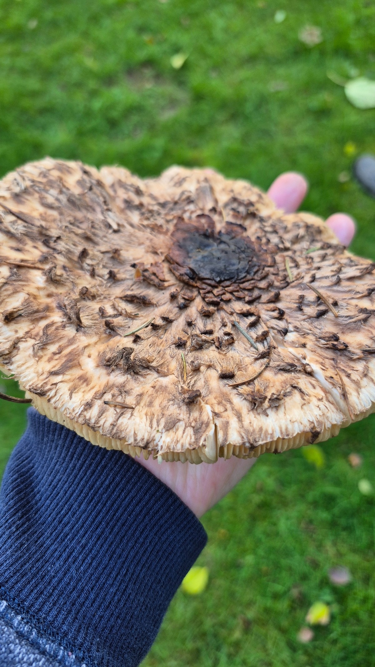 b2271f35-e7b1-43d8-84f1-d2a2415cc3cb