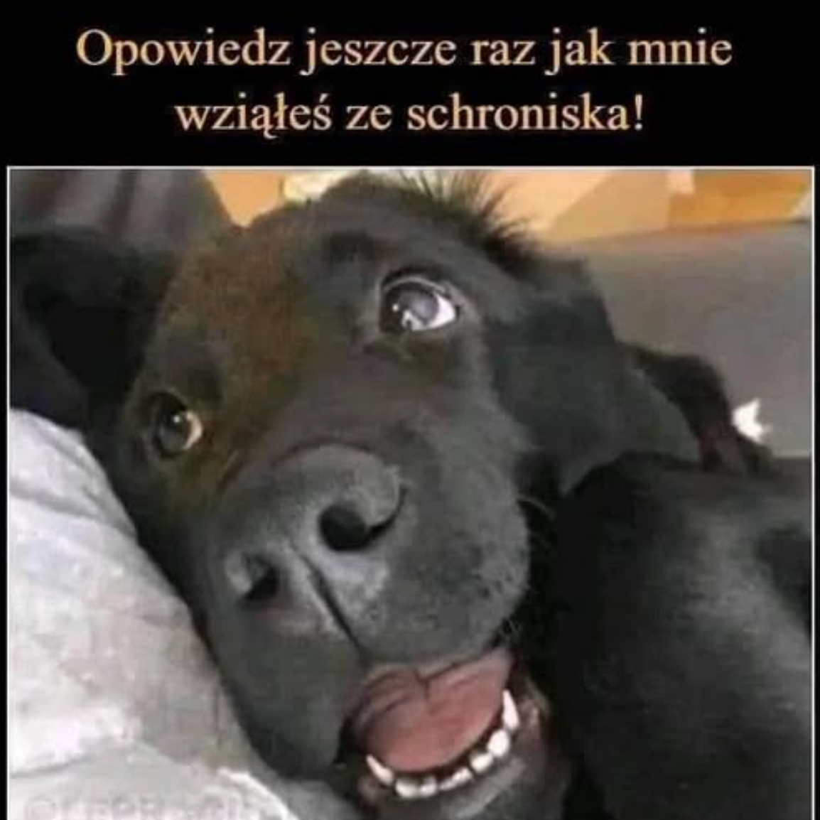 b7f1a61f-389d-4cfe-bb1a-1a2136a62f25