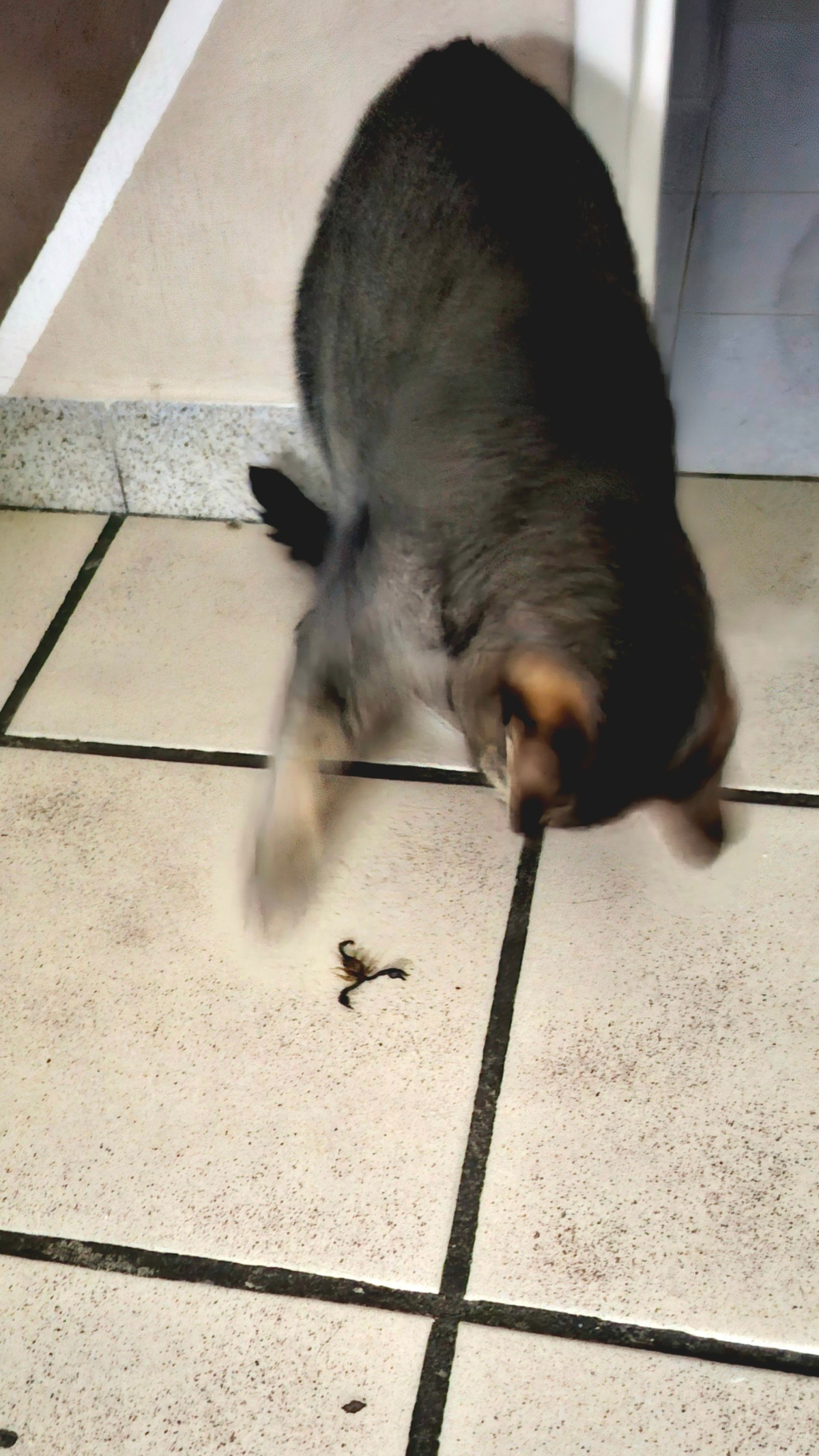 85cd8b72-79fc-4589-9c37-6557624bf888