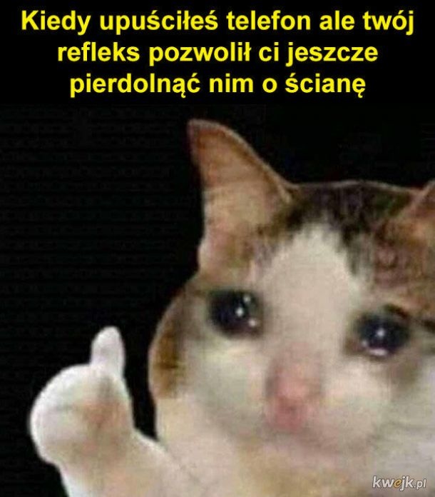 83427ca2-59f4-4690-80e5-689fd68fb2b8