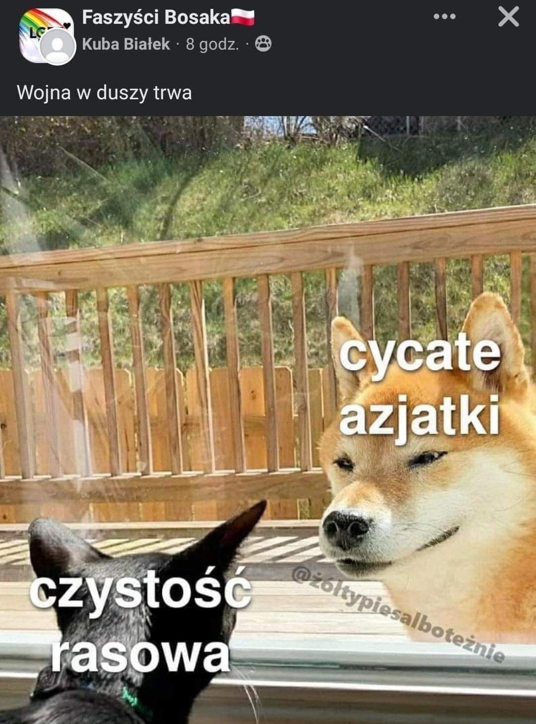 1e1244c2-2d65-4fd9-98cc-01df02d77f72