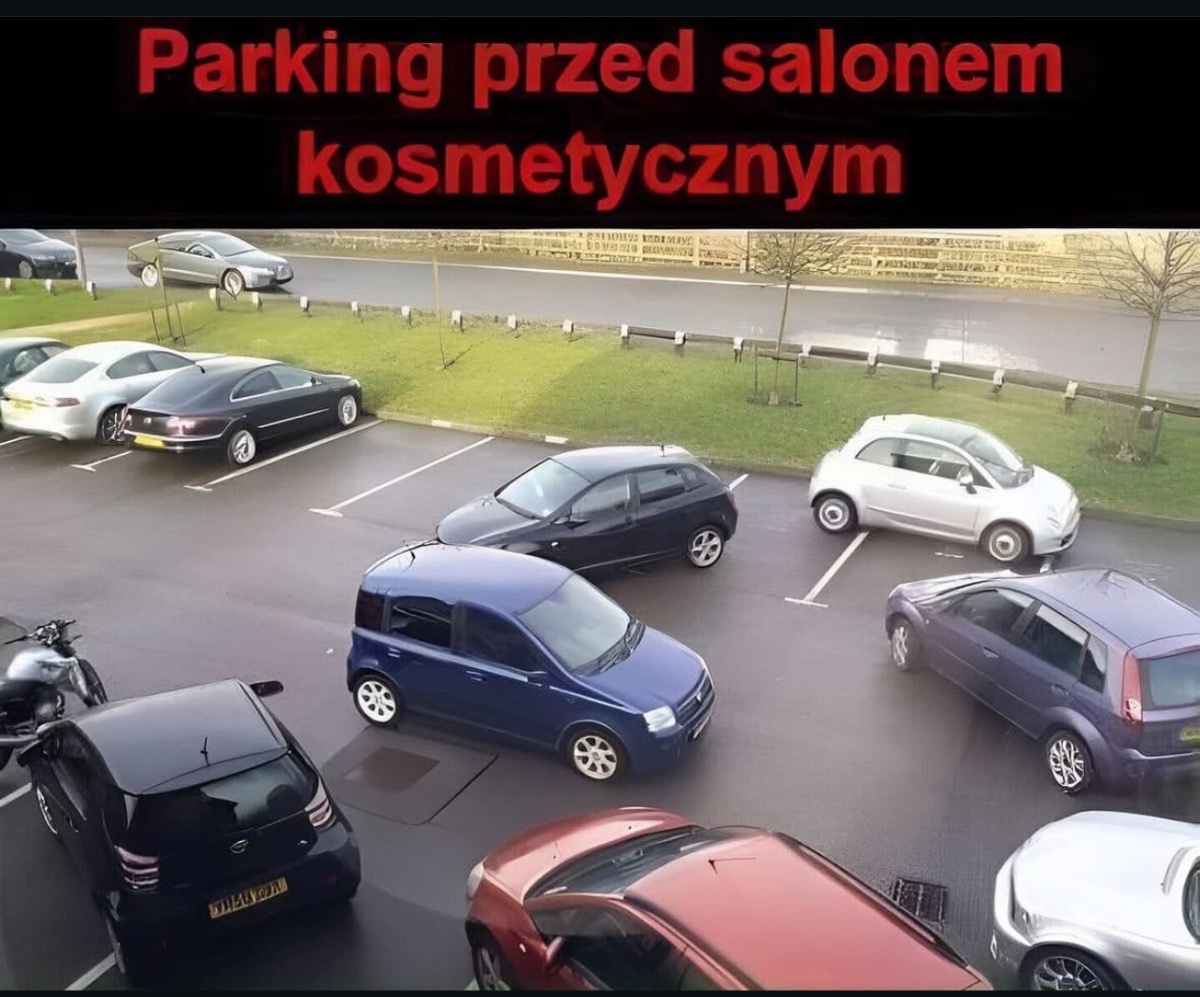 6e214e02-af55-42d0-8066-93ba3b37ddc1