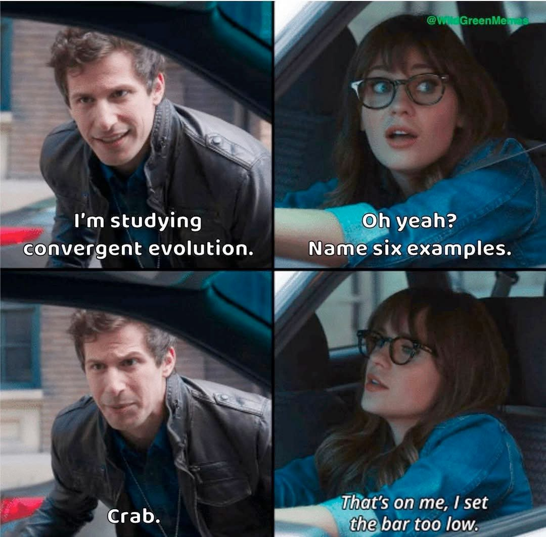 c41860fa-0a24-46ac-836c-483621f388b6