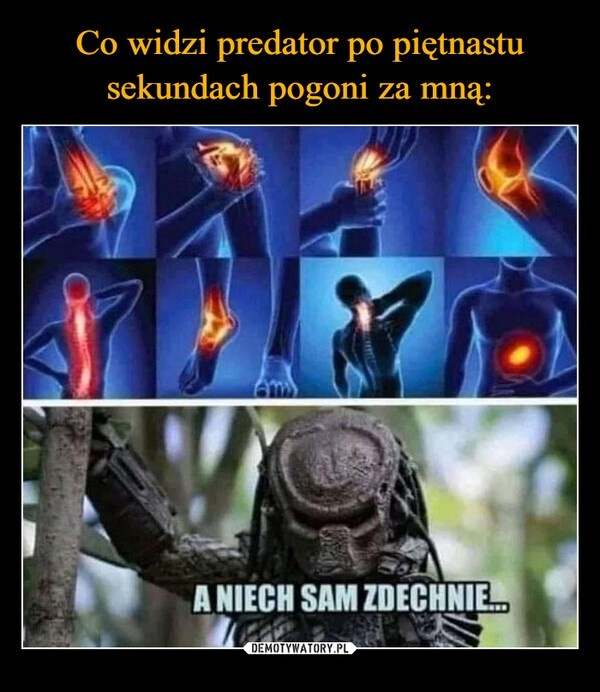 0776a37c-bbce-4a0f-a5f8-796bba0464da