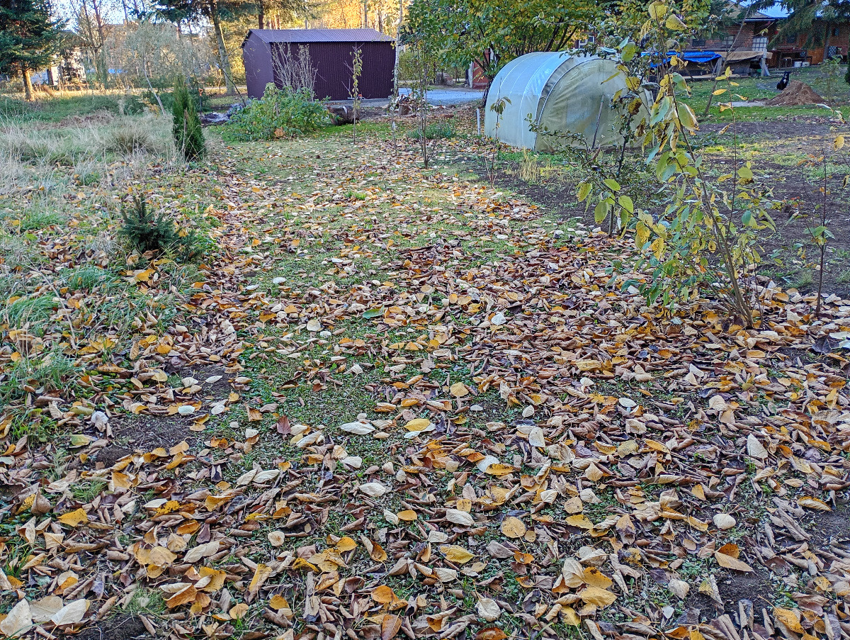 6b3438ce-de48-4cba-8ff8-f2050a49930d