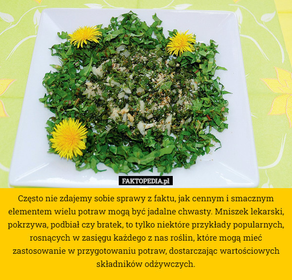 b8984782-bf05-434b-ad78-85cf097e2ecc