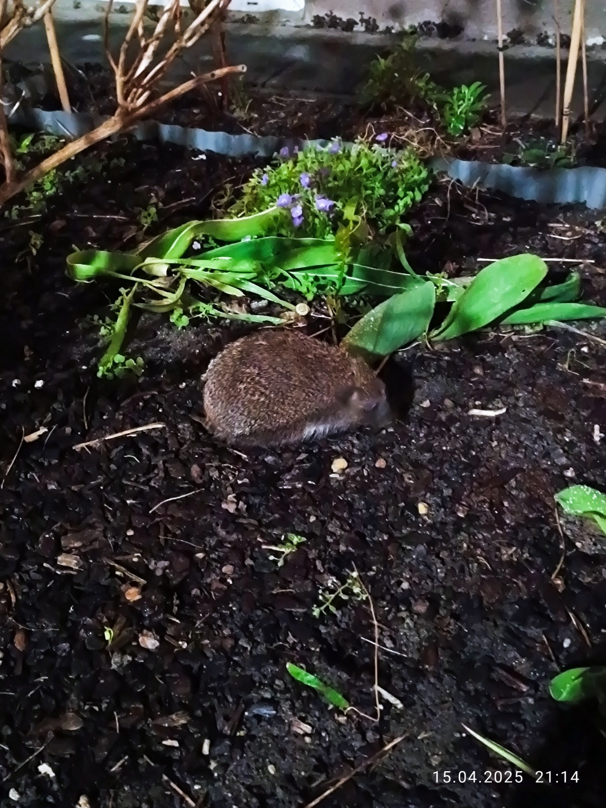 75aa6d68-cb12-44fc-b94a-c6f5752f4ca1