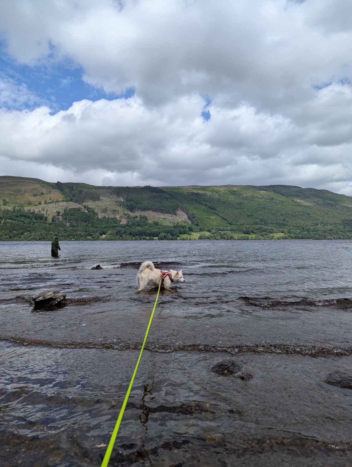 3b1154d9-85de-4432-88cb-cbca22657c32