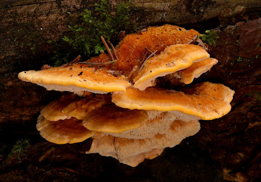 c9947821-3c8d-470b-aaff-57c6bfef1280