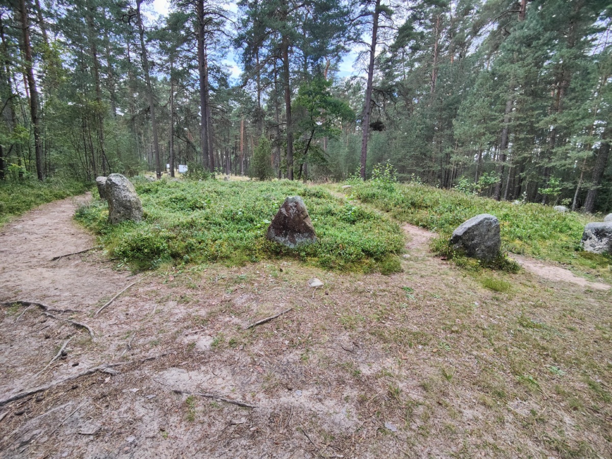 f5ae8915-783e-4f00-b257-421b1998d615