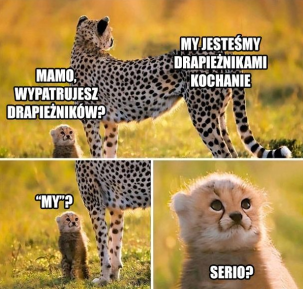 925660be-f20b-4cf1-8362-8cab99ca76d9