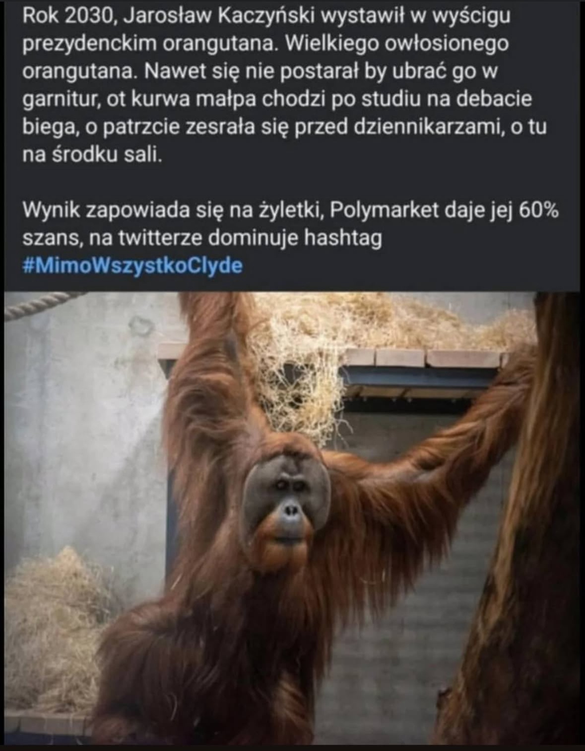 64b69774-6bba-4923-895b-e57eec9d8161