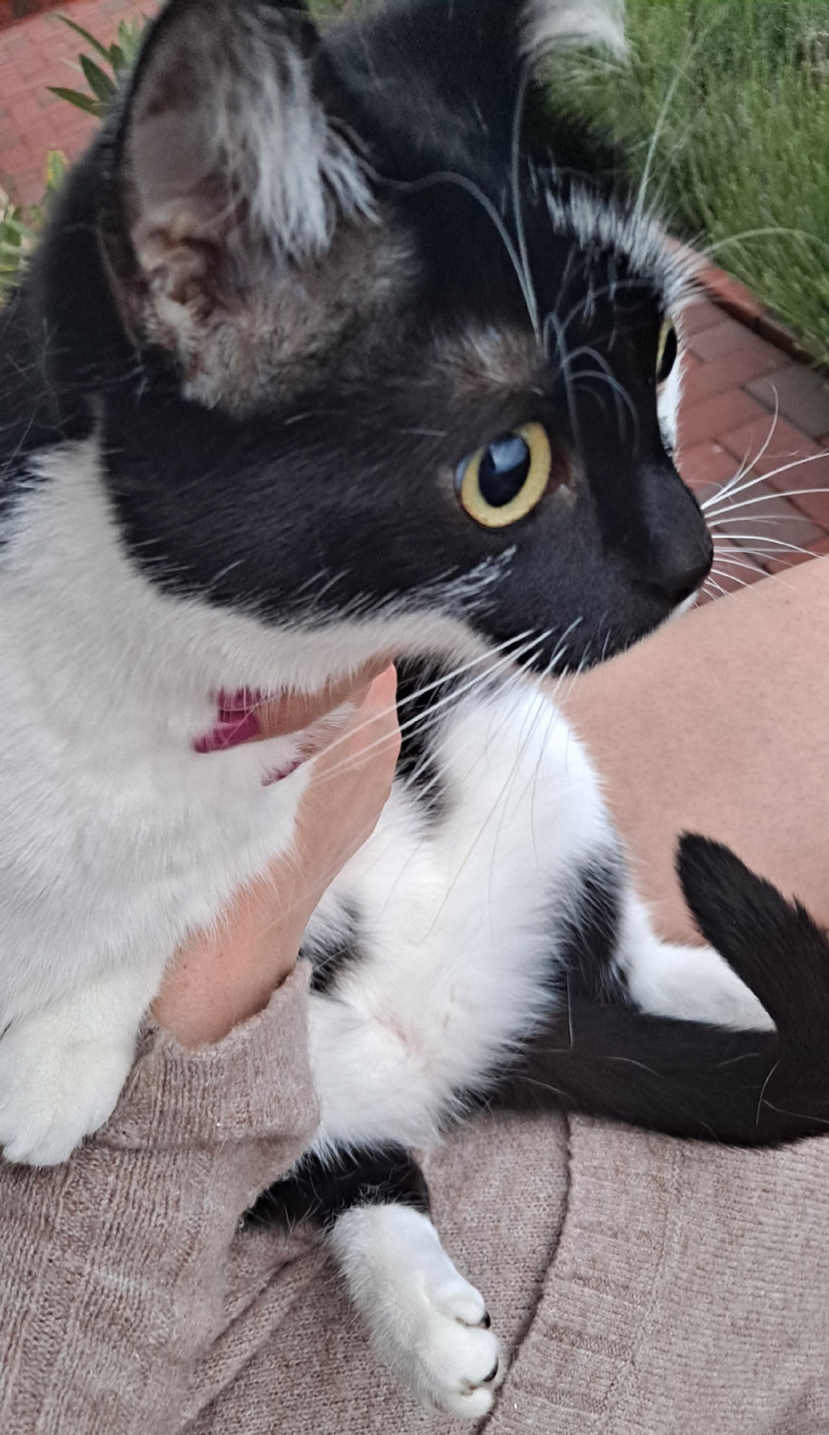 faca649f-4ac7-46bc-ae5b-fdb286b2512c