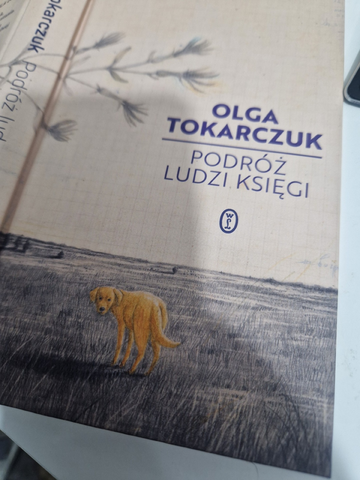 d8ffdb1e-df94-4e81-a9cb-890fd111c314