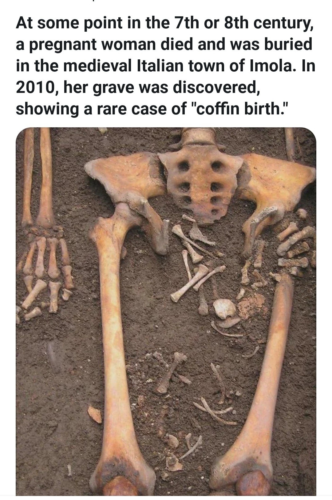 d04f4982-29f8-405a-8b5c-6cb9a50c7c53