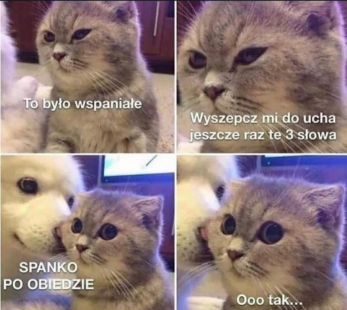 215f57f8-4aa1-473a-add7-8e6e93a8218a