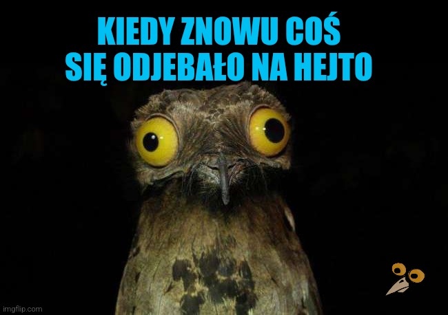 90a79e9f-fcbc-44e1-b4ea-5c78c9b1c1bb