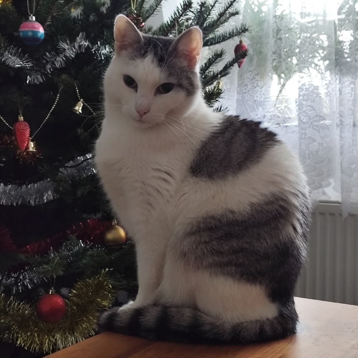 4e3d84b1-5e9a-4580-9f20-d9f34124dc68