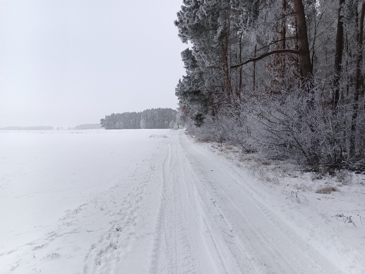 7d69892e-443a-472f-9adc-daca6d5c6a2b