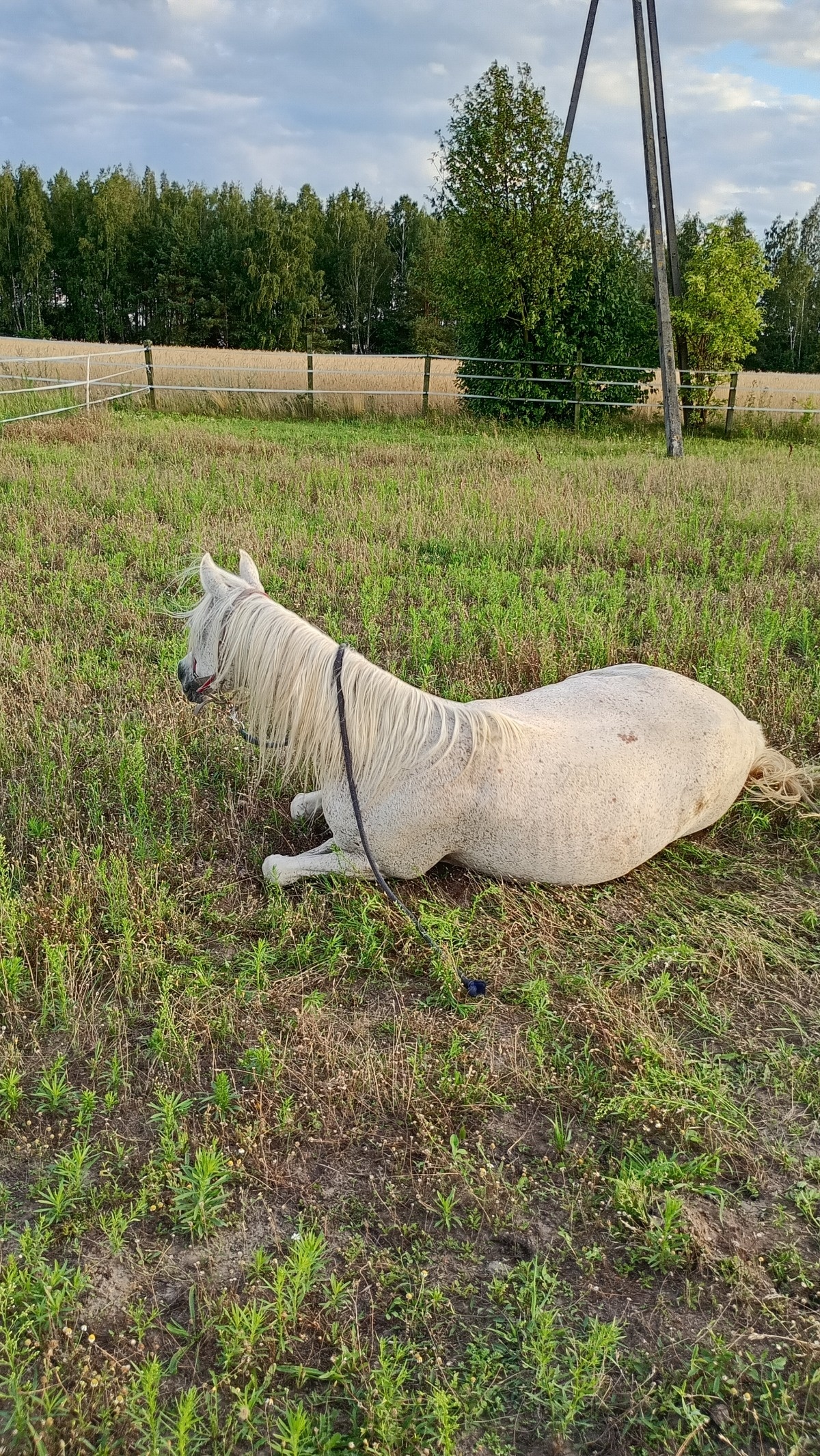 dc6acaf8-124d-4ab3-8105-04c96cba111f