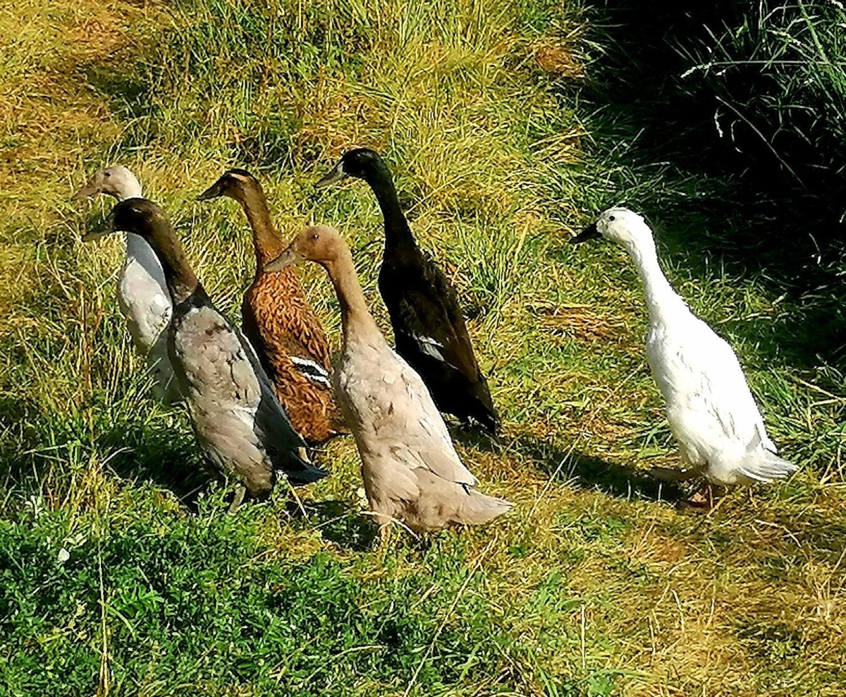 cc89f20b-dbe9-41dc-85d4-f3dcd1f09a61