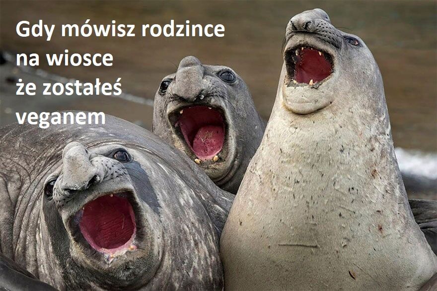 66dffa23-5112-499e-8bda-f237f4896cff