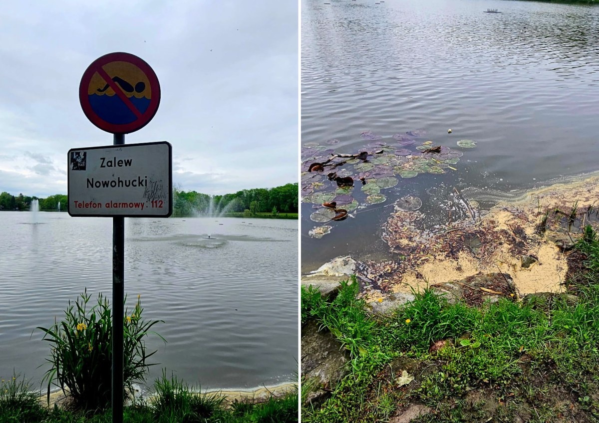 Planują wielkie sprzątanie Zalewu Nowohuckiego. Naukowcy mają wątpliwości