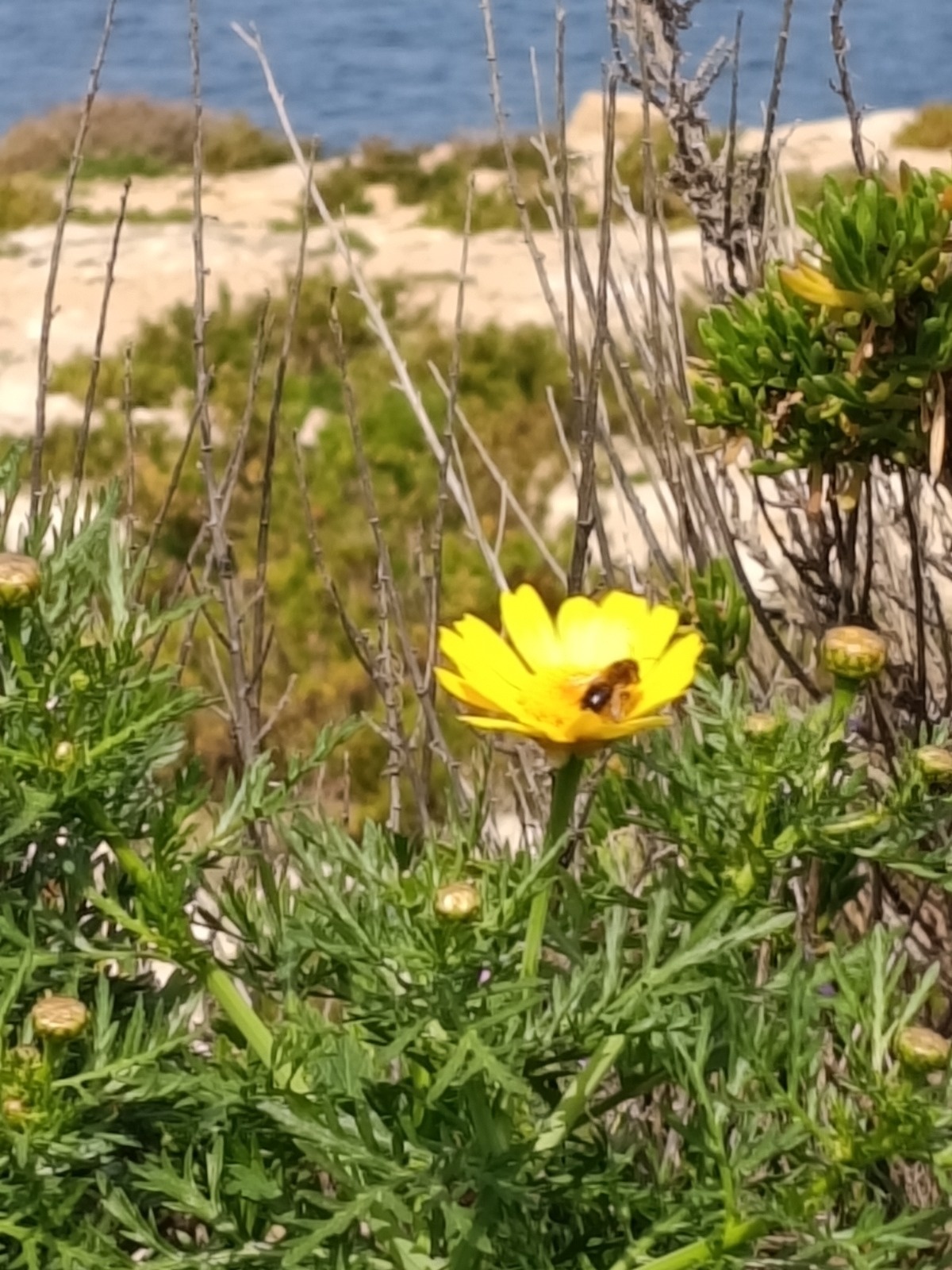 821e471e-1807-45d6-a83a-0658c9136524