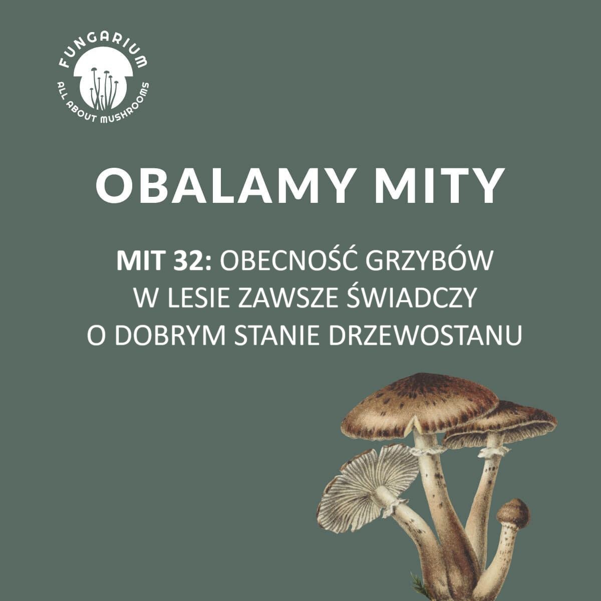 58025ad2-991a-4ba3-b4c3-0601b9090df5