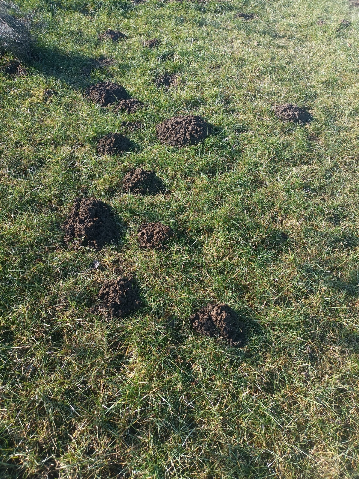 4169ef75-983d-4518-adfd-68eb4c45f335