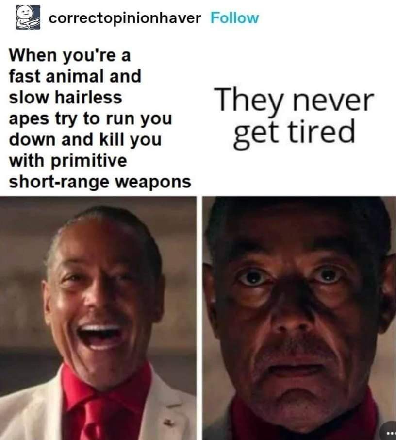 b8da3da0-2c00-4424-9015-7cda0214220b