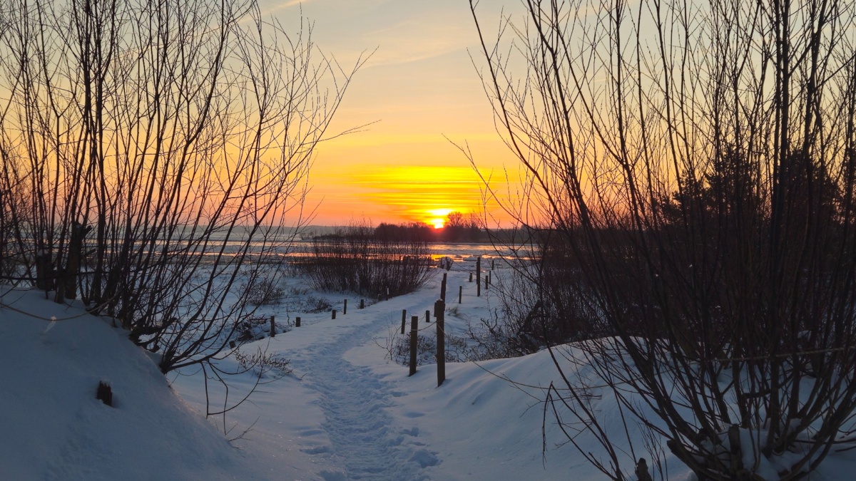 d683f35e-b31b-43c5-ac8d-09a6924a0e4c