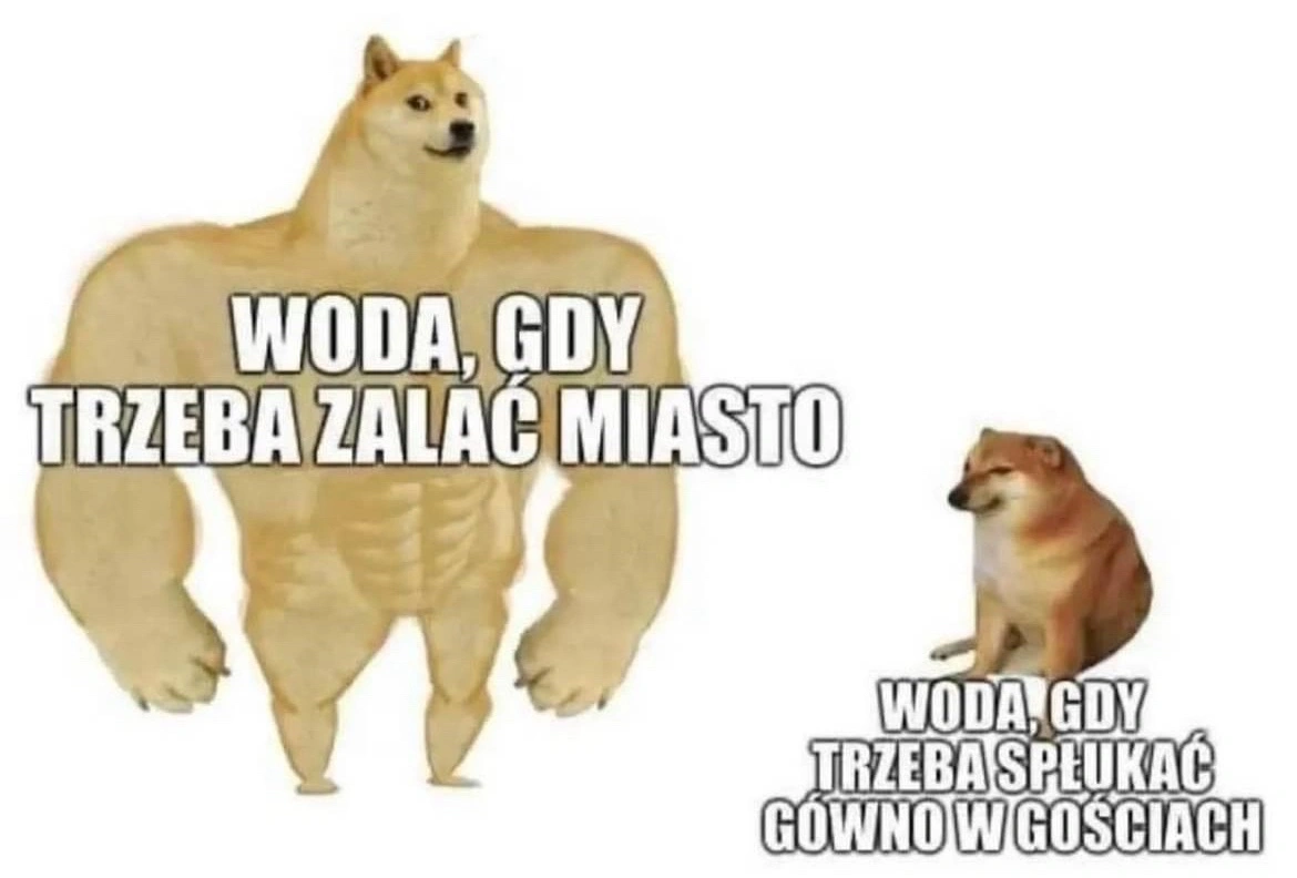 6c920e55-c475-45b3-aa13-b2bd7b2b27f3