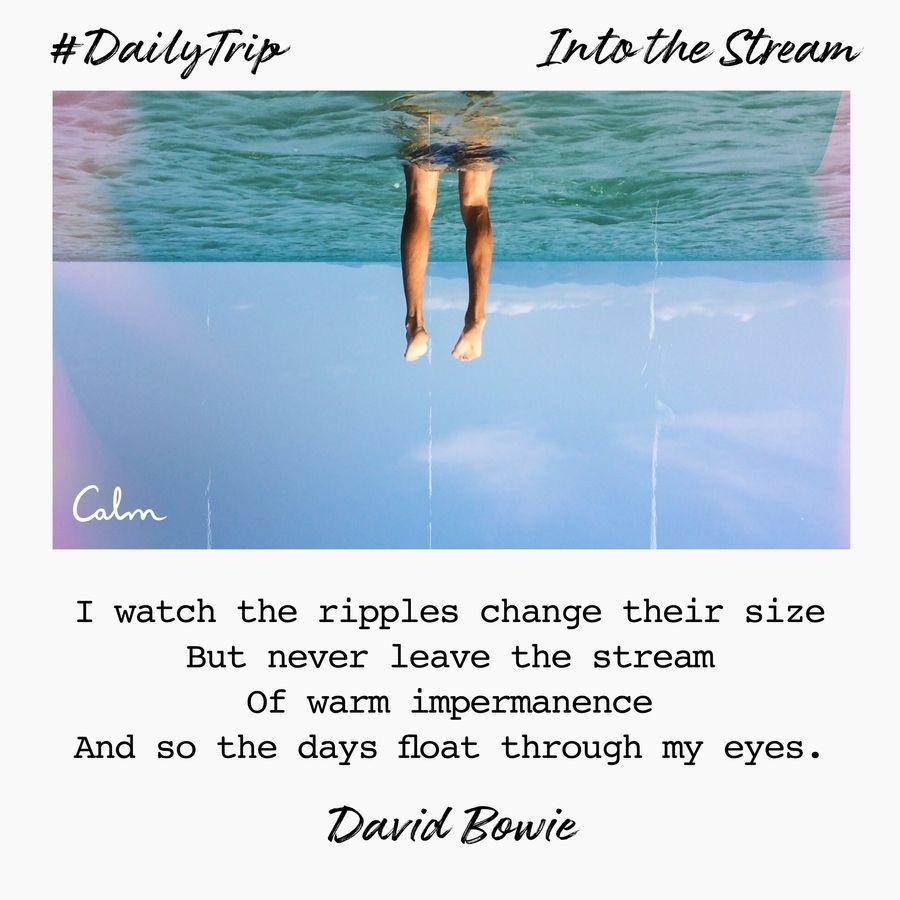 59f06235-63b5-4f13-a20c-c6e61b9c9c28