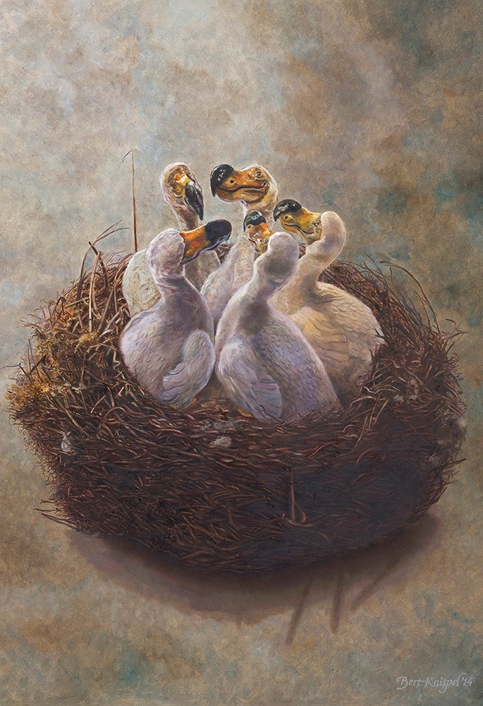 49fb160e-51e8-4884-a67d-8d77fbfd96a2