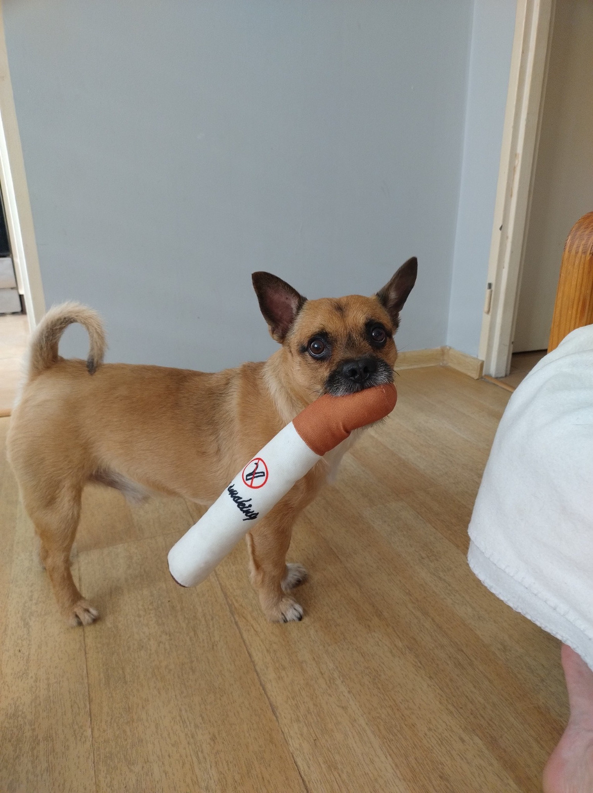 a9bfac70-868f-44c2-888a-ad2d270ac7ad