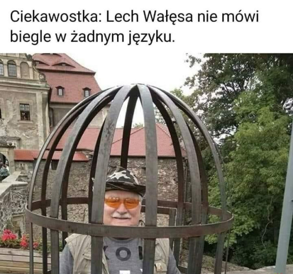 ea2528cc-05d4-45a7-a5e3-4f2683c58eea