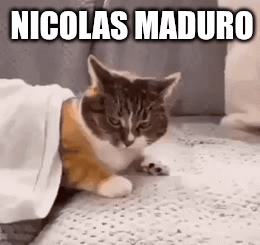 ad73dd24-6b3e-4508-a330-244e9406eee9